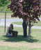 Pausing in the shade