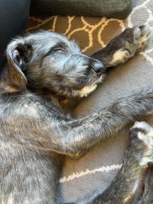 Photo 2023-05-26, 5 54 36 PM