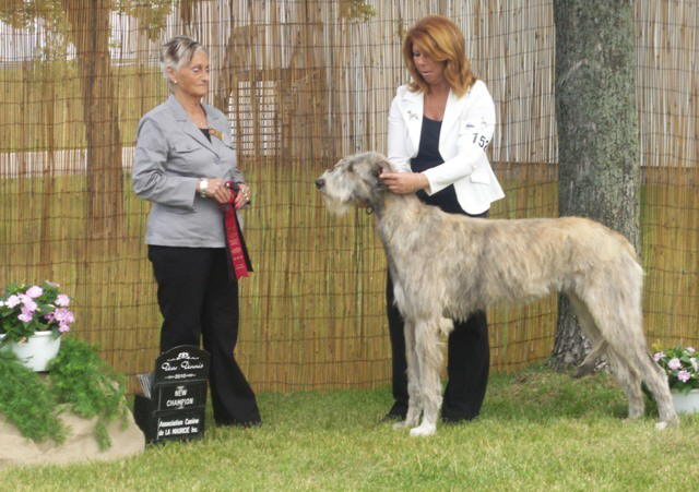 Sheenan CH Trois Rivieres June 2010