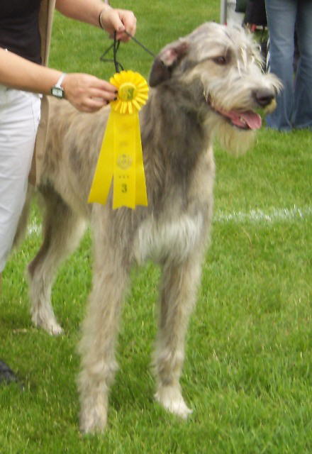 Sheenan IWCC Specialty May 2010