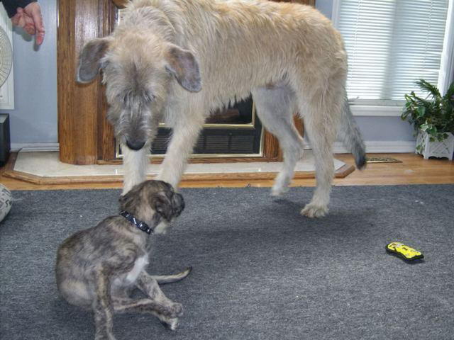 Wanna play Jun 19'10