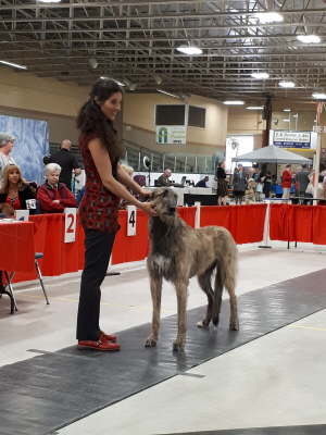 received_10156255021316420