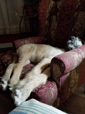 received_2285497508218821