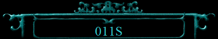 011S