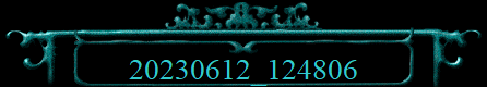 20230612_124806