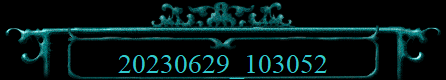 20230629_103052