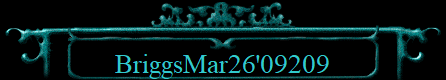 BriggsMar26'09209