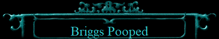 Briggs Pooped