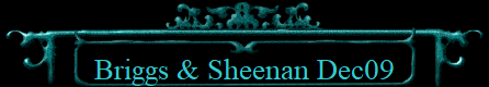 Briggs & Sheenan Dec09