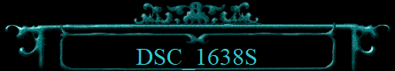 DSC_1638S