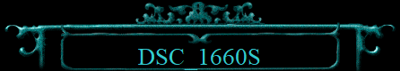 DSC_1660S