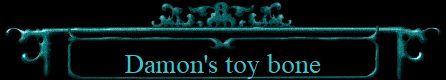 Damon's toy bone