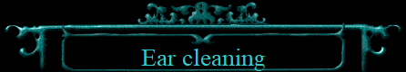 Ear cleaning