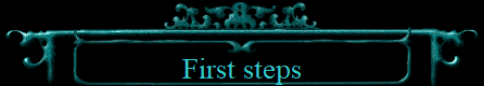 First steps