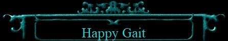 Happy Gait