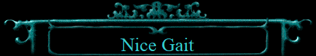 Nice Gait