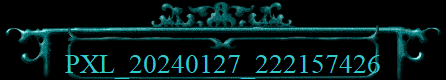PXL_20240127_222157426