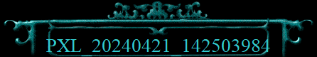 PXL_20240421_142503984