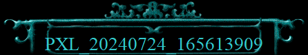 PXL_20240724_165613909