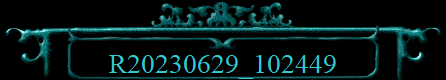 R20230629_102449