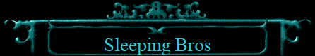 Sleeping Bros