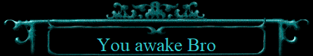 You awake Bro