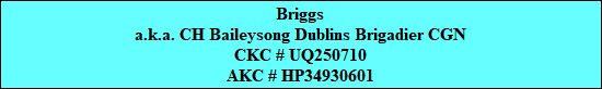 Briggs
a.k.a. CH Baileysong Dublins Brigadier CGN
CKC # UQ250710
AKC # HP34930601