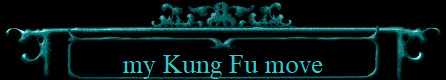 my Kung Fu move