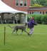 Amazing gait