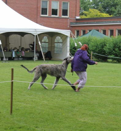 Amazing gait