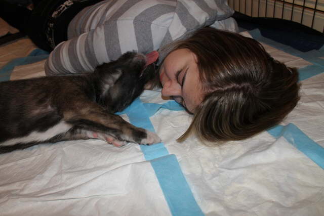 Baby licks