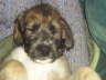 Briggs First Day