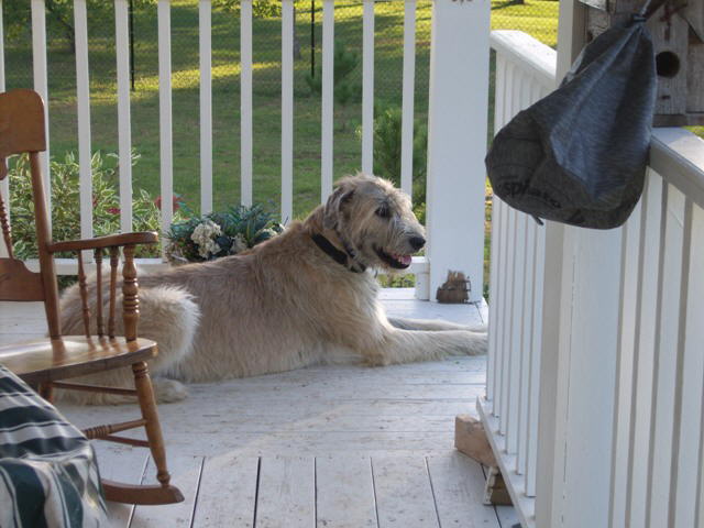 Briggs On Guard