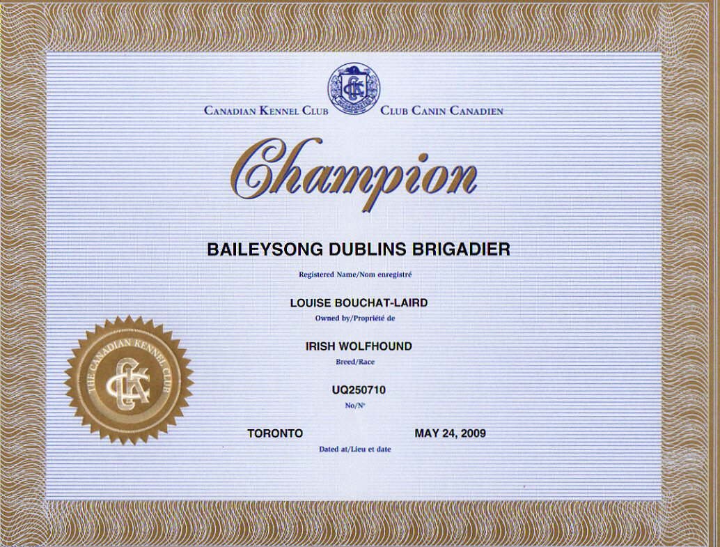 Briggs' Champion Certificate 2009