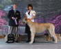 Briggs' Win in Arnprior 2009