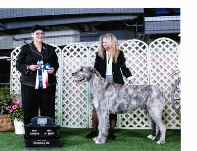 Brooklyn Champion Chomedey Sept'13