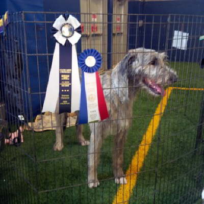 Champion Sept '13