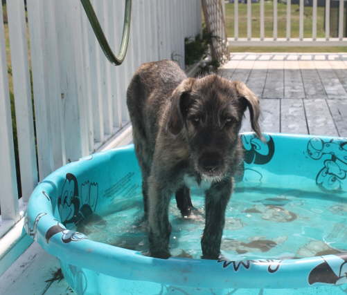 Cooling off