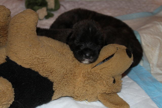 Damon Day 18