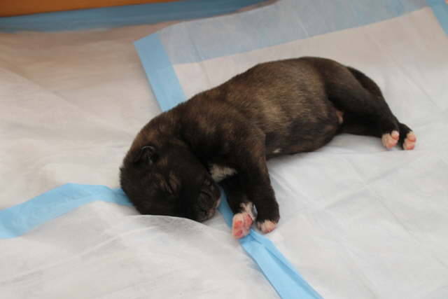 Damon Day 7-5