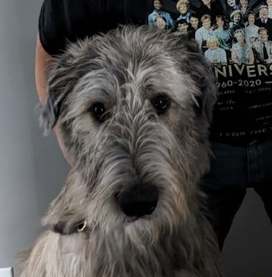 Deekin