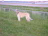Enjoying The Road Trip to Quebec City 2009