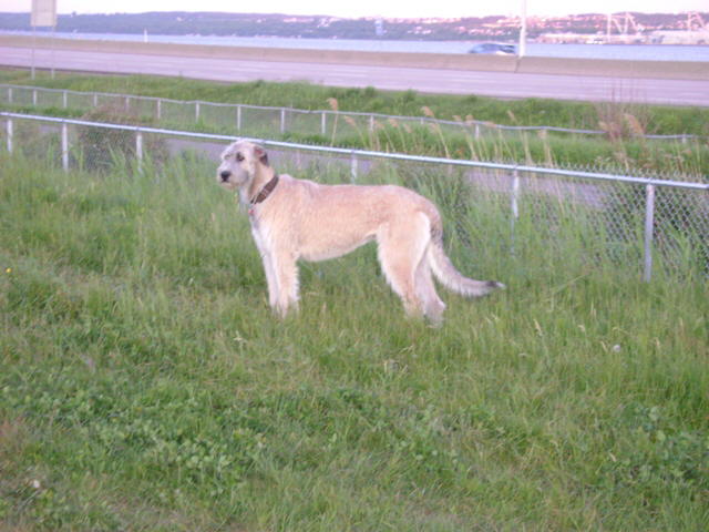 Enjoying The Road Trip to Quebec City 2009