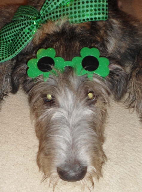 First St Pats