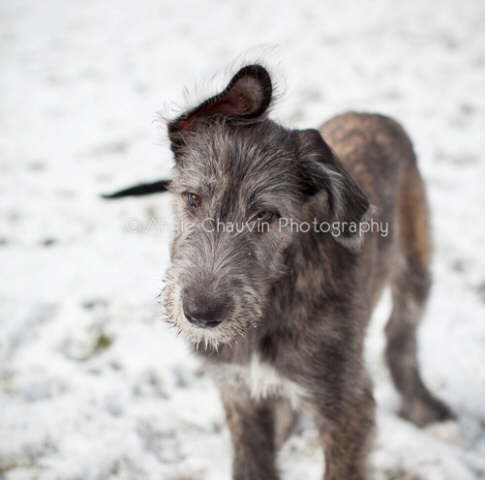 Funky Ear