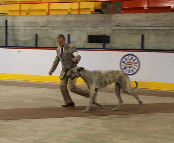 Hochelaga May 2011-4