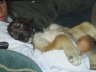 LoveMyComfort