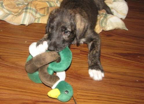 Me and Duckie