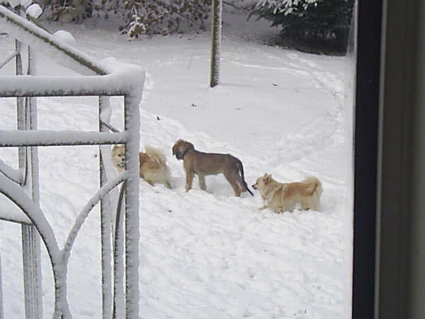 MyFirstSnowWalk