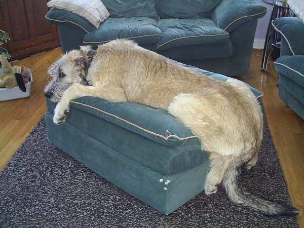 Need Bigger Ottoman
